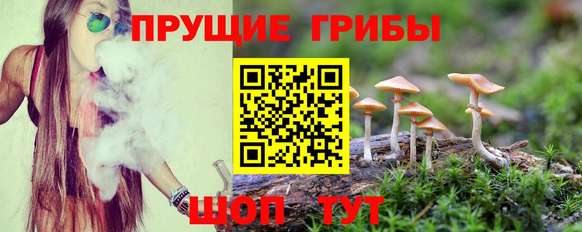Галлюциногенные грибы мухоморы  Вход с VPN  Галлюциногенные грибы прущие грибы  Скопин 