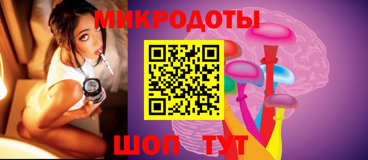Галлюциногенные грибы Psilocybine cubensis Скопин